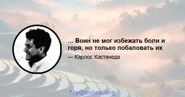 ... Воин не мог избежать боли и горя, но только побаловать их