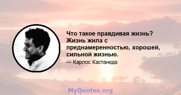 Что такое правдивая жизнь? Жизнь жила с преднамеренностью, хорошей, сильной жизнью.