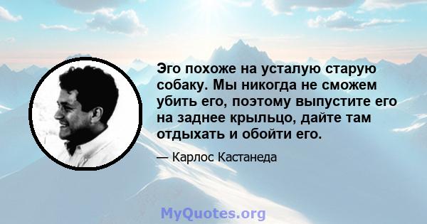 Эго похоже на усталую старую собаку. Мы никогда не сможем убить его, поэтому выпустите его на заднее крыльцо, дайте там отдыхать и обойти его.