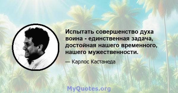 Испытать совершенство духа воина - единственная задача, достойная нашего временного, нашего мужественности.