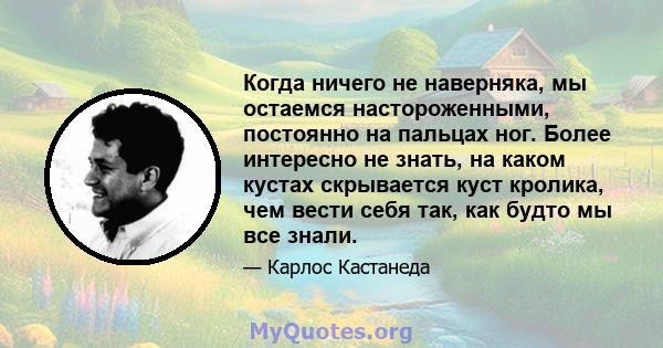 Когда ничего не наверняка, мы остаемся настороженными, постоянно на пальцах ног. Более интересно не знать, на каком кустах скрывается куст кролика, чем вести себя так, как будто мы все знали.