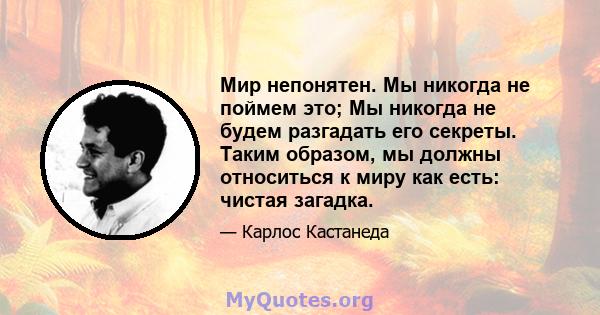 Мир непонятен. Мы никогда не поймем это; Мы никогда не будем разгадать его секреты. Таким образом, мы должны относиться к миру как есть: чистая загадка.