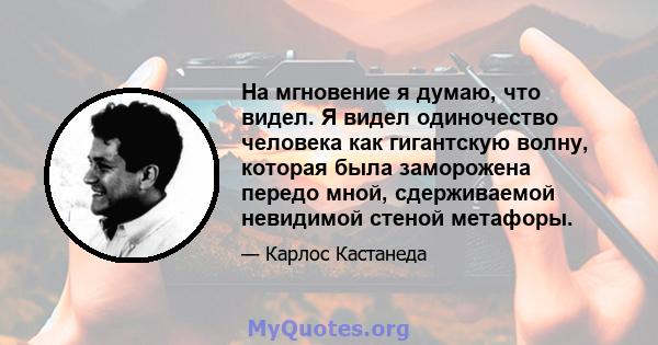 На мгновение я думаю, что видел. Я видел одиночество человека как гигантскую волну, которая была заморожена передо мной, сдерживаемой невидимой стеной метафоры.