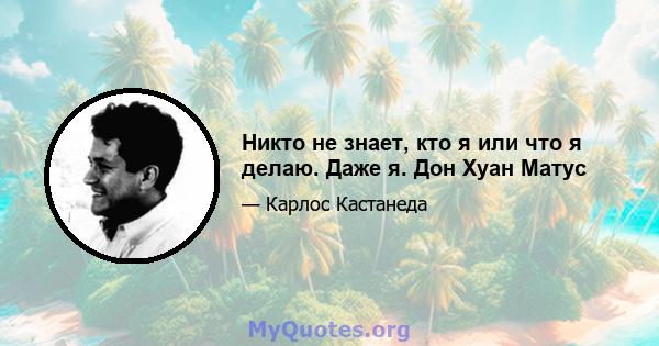 Никто не знает, кто я или что я делаю. Даже я. Дон Хуан Матус