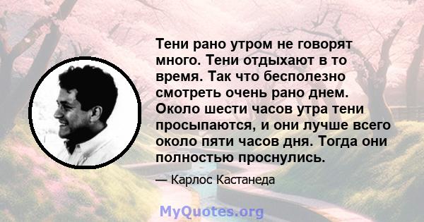 Тени рано утром не говорят много. Тени отдыхают в то время. Так что бесполезно смотреть очень рано днем. Около шести часов утра тени просыпаются, и они лучше всего около пяти часов дня. Тогда они полностью проснулись.