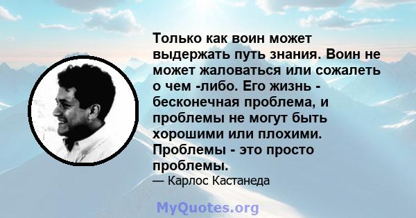 Только как воин может выдержать путь знания. Воин не может жаловаться или сожалеть о чем -либо. Его жизнь - бесконечная проблема, и проблемы не могут быть хорошими или плохими. Проблемы - это просто проблемы.