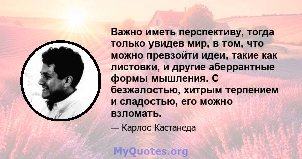 Важно иметь перспективу, тогда только увидев мир, в том, что можно превзойти идеи, такие как листовки, и другие аберрантные формы мышления. С безжалостью, хитрым терпением и сладостью, его можно взломать.