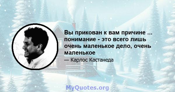 Вы прикован к вам причине ... понимание - это всего лишь очень маленькое дело, очень маленькое