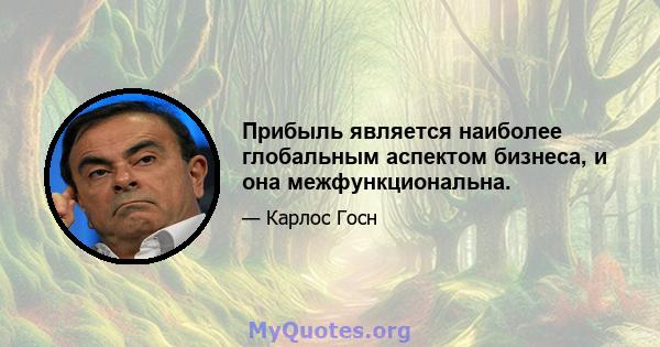 Прибыль является наиболее глобальным аспектом бизнеса, и она межфункциональна.