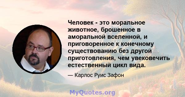 Человек - это моральное животное, брошенное в аморальной вселенной, и приговоренное к конечному существованию без другой приготовления, чем увековечить естественный цикл вида.