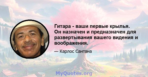 Гитара - ваши первые крылья. Он назначен и предназначен для развертывания вашего видения и воображения.