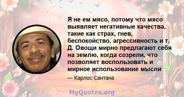 Я не ем мясо, потому что мясо выявляет негативные качества, такие как страх, гнев, беспокойство, агрессивность и т. Д. Овощи мирно предлагают себя на землю, когда созрели, что позволяет воспользовать и мирное