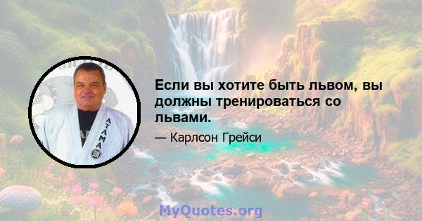 Если вы хотите быть львом, вы должны тренироваться со львами.