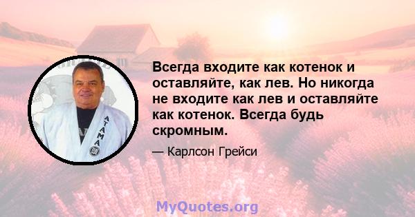 Всегда входите как котенок и оставляйте, как лев. Но никогда не входите как лев и оставляйте как котенок. Всегда будь скромным.