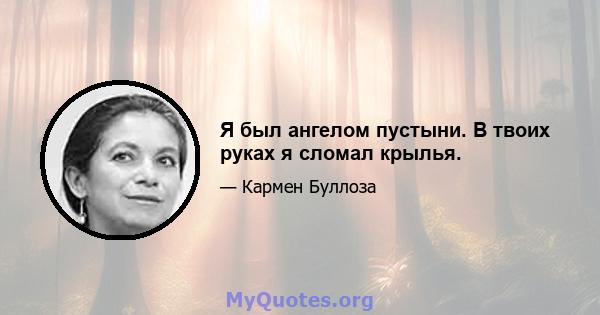 Я был ангелом пустыни. В твоих руках я сломал крылья.