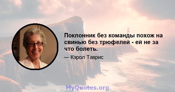 Поклонник без команды похож на свинью без трюфелей - ей не за что болеть.