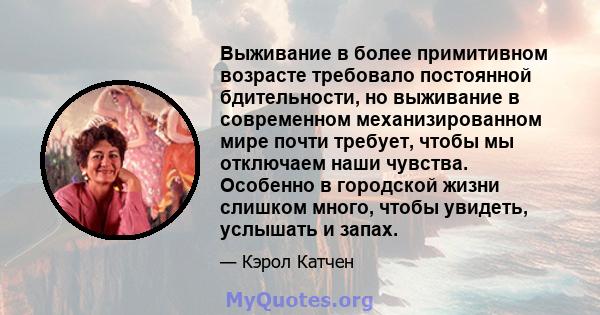 Выживание в более примитивном возрасте требовало постоянной бдительности, но выживание в современном механизированном мире почти требует, чтобы мы отключаем наши чувства. Особенно в городской жизни слишком много, чтобы