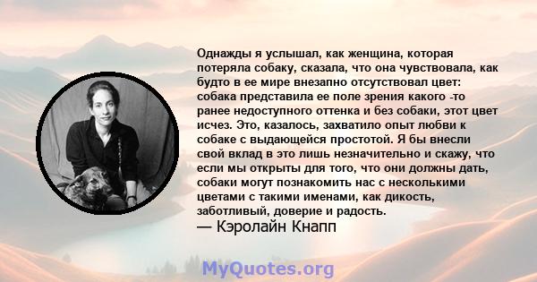 Однажды я услышал, как женщина, которая потеряла собаку, сказала, что она чувствовала, как будто в ее мире внезапно отсутствовал цвет: собака представила ее поле зрения какого -то ранее недоступного оттенка и без