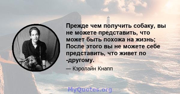 Прежде чем получить собаку, вы не можете представить, что может быть похожа на жизнь; После этого вы не можете себе представить, что живет по -другому.