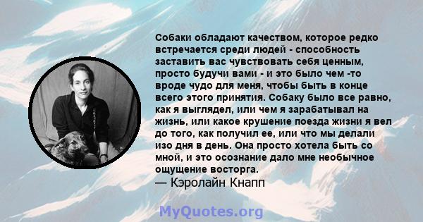 Собаки обладают качеством, которое редко встречается среди людей - способность заставить вас чувствовать себя ценным, просто будучи вами - и это было чем -то вроде чудо для меня, чтобы быть в конце всего этого принятия. 