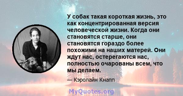 У собак такая короткая жизнь, это как концентрированная версия человеческой жизни. Когда они становятся старше, они становятся гораздо более похожими на наших матерей. Они ждут нас, остерегаются нас, полностью очарованы 