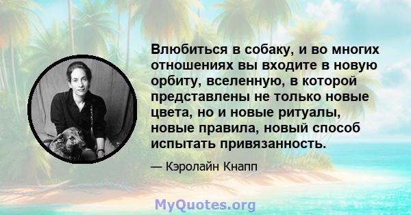 Влюбиться в собаку, и во многих отношениях вы входите в новую орбиту, вселенную, в которой представлены не только новые цвета, но и новые ритуалы, новые правила, новый способ испытать привязанность.