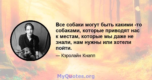 Все собаки могут быть какими -то собаками, которые приводят нас к местам, которые мы даже не знали, нам нужны или хотели пойти.