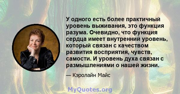 У одного есть более практичный уровень выживания, это функция разума. Очевидно, что функция сердца имеет внутренний уровень, который связан с качеством развития восприятия, чувств, самости. И уровень духа связан с