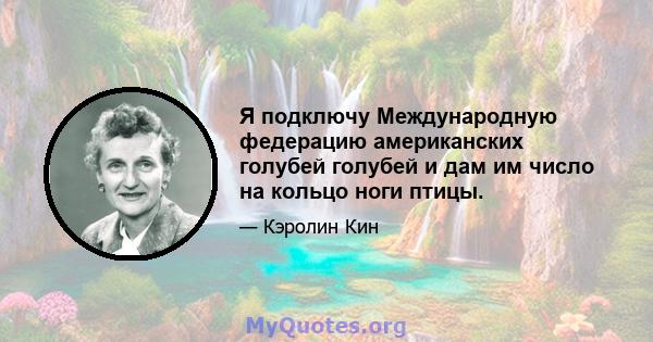 Я подключу Международную федерацию американских голубей голубей и дам им число на кольцо ноги птицы.