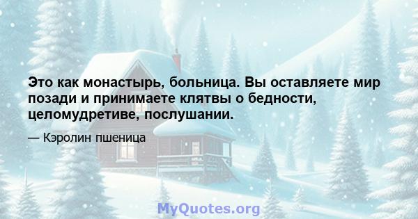 Это как монастырь, больница. Вы оставляете мир позади и принимаете клятвы о бедности, целомудретиве, послушании.