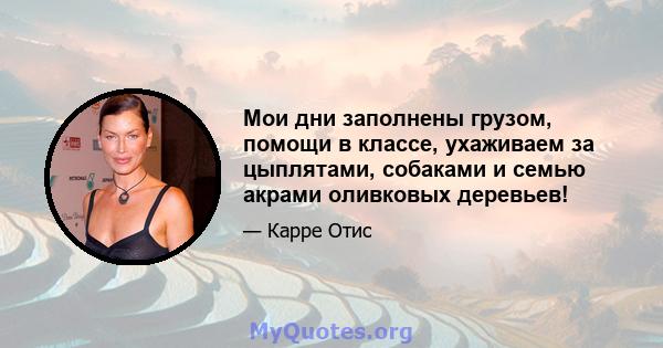 Мои дни заполнены грузом, помощи в классе, ухаживаем за цыплятами, собаками и семью акрами оливковых деревьев!