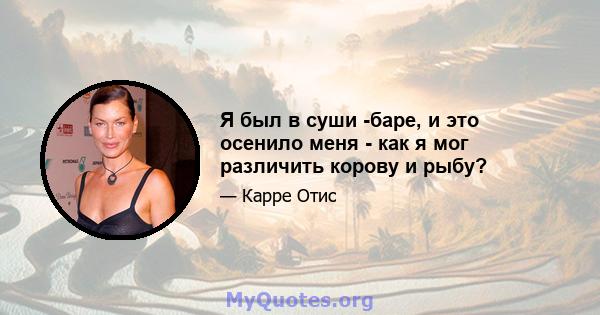 Я был в суши -баре, и это осенило меня - как я мог различить корову и рыбу?