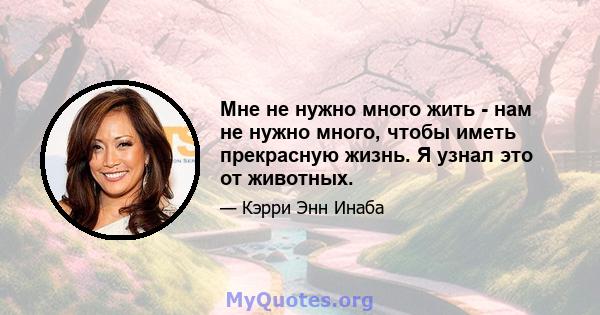 Мне не нужно много жить - нам не нужно много, чтобы иметь прекрасную жизнь. Я узнал это от животных.