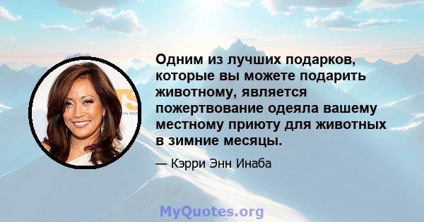 Одним из лучших подарков, которые вы можете подарить животному, является пожертвование одеяла вашему местному приюту для животных в зимние месяцы.