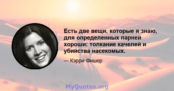 Есть две вещи, которые я знаю, для определенных парней хороши: толкание качелей и убийства насекомых.