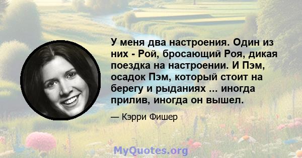 У меня два настроения. Один из них - Рой, бросающий Роя, дикая поездка на настроении. И Пэм, осадок Пэм, который стоит на берегу и рыданиях ... иногда прилив, иногда он вышел.