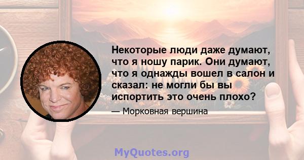 Некоторые люди даже думают, что я ношу парик. Они думают, что я однажды вошел в салон и сказал: не могли бы вы испортить это очень плохо?