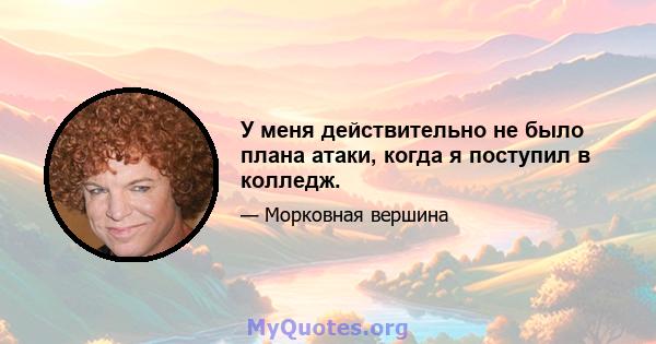 У меня действительно не было плана атаки, когда я поступил в колледж.