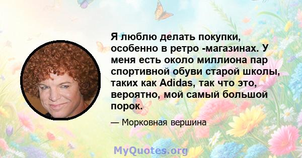 Я люблю делать покупки, особенно в ретро -магазинах. У меня есть около миллиона пар спортивной обуви старой школы, таких как Adidas, так что это, вероятно, мой самый большой порок.