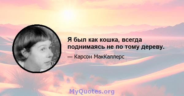 Я был как кошка, всегда поднимаясь не по тому дереву.