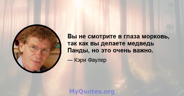 Вы не смотрите в глаза морковь, так как вы делаете медведь Панды, но это очень важно.