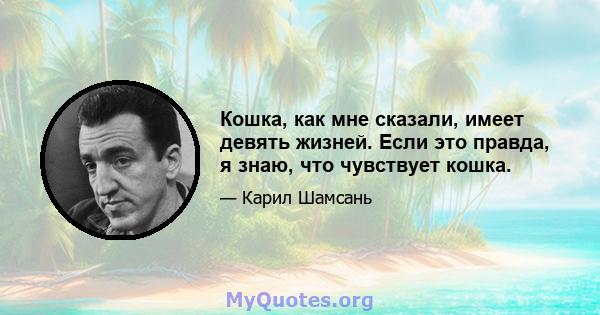 Кошка, как мне сказали, имеет девять жизней. Если это правда, я знаю, что чувствует кошка.