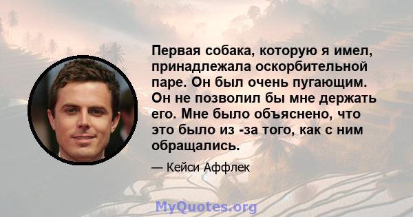 Первая собака, которую я имел, принадлежала оскорбительной паре. Он был очень пугающим. Он не позволил бы мне держать его. Мне было объяснено, что это было из -за того, как с ним обращались.