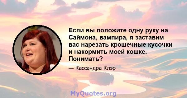 Если вы положите одну руку на Саймона, вампира, я заставим вас нарезать крошечные кусочки и накормить моей кошке. Понимать?