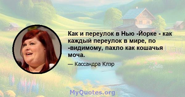 Как и переулок в Нью -Йорке - как каждый переулок в мире, по -видимому, пахло как кошачья моча.