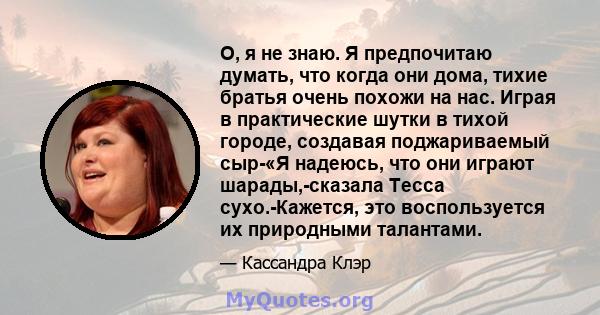 О, я не знаю. Я предпочитаю думать, что когда они дома, тихие братья очень похожи на нас. Играя в практические шутки в тихой городе, создавая поджариваемый сыр-«Я надеюсь, что они играют шарады,-сказала Тесса