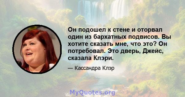 Он подошел к стене и оторвал один из бархатных подвисов. Вы хотите сказать мне, что это? Он потребовал. Это дверь, Джейс, сказала Клэри.