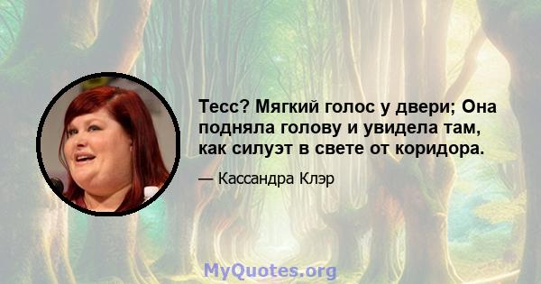 Тесс? Мягкий голос у двери; Она подняла голову и увидела там, как силуэт в свете от коридора.