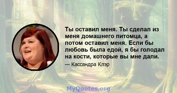 Ты оставил меня. Ты сделал из меня домашнего питомца, а потом оставил меня. Если бы любовь была едой, я бы голодал на кости, которые вы мне дали.