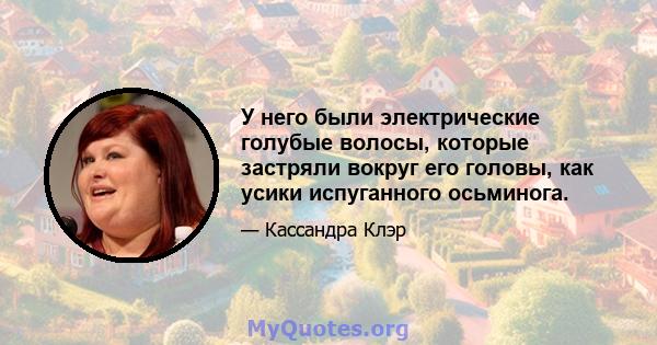 У него были электрические голубые волосы, которые застряли вокруг его головы, как усики испуганного осьминога.